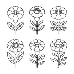 A line art flower marigold set illustration vector style coloring book