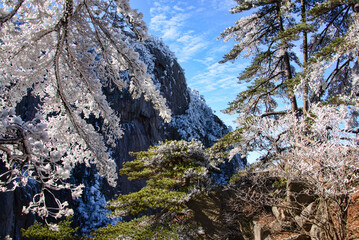 Winter wonderland, scenery in Huangshan National Park, Anhui, China
