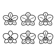 A line art flower orchid set illustration vector style coloring book