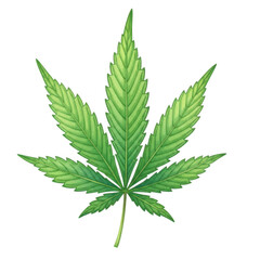 Watercolor Single cannabis leaf isolated on a transparent background