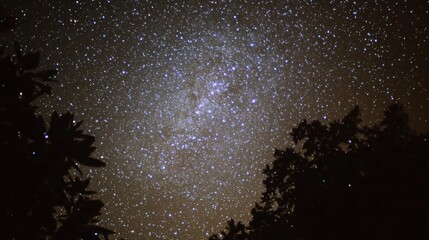 Galactic Milky Way Galaxy Displaying Intricate Star Structures