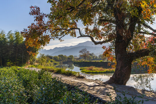 Scenery of Lucun Village, Yi County, Huangshan City, Anhui Province, China