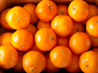 fresh tangerines