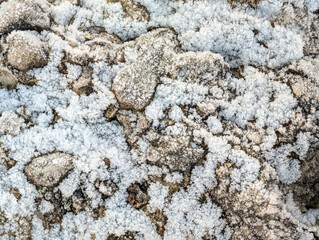 Stones covered with frost.