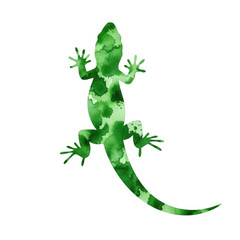 Obraz premium Watercolor Green lizard illustration isolated on a transparent background