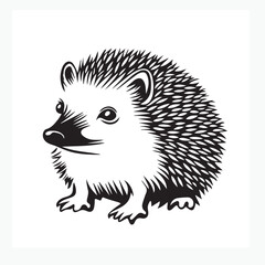 vector illustration of a hedgehog
