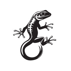 gecko on a white background