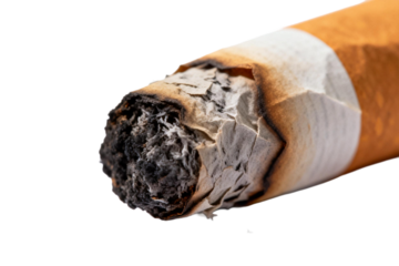 Burning Cigarette with Burnt Tobacco and Filter