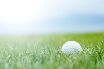 ゴルフボールと芝生