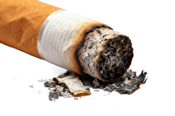 Burning Cigarette with Ash and Burned Filter