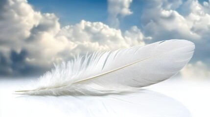 Obraz premium White Dove Feather Resting Against Cloudy Sky Background