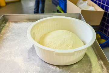 Bread dough rising in bowl The Concept of Baking