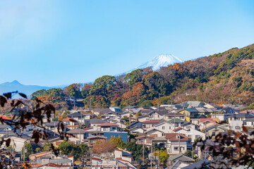富士山と街並み