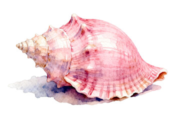Obraz premium Watercolor Painting of Pink Seashell