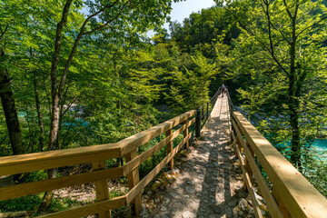 Fototapeta premium Serene forest path leads to hidden gem Kozjak Waterfall in Slovenia
