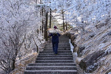 Winter wonderland, scenery in Huangshan National Park, Anhui, China