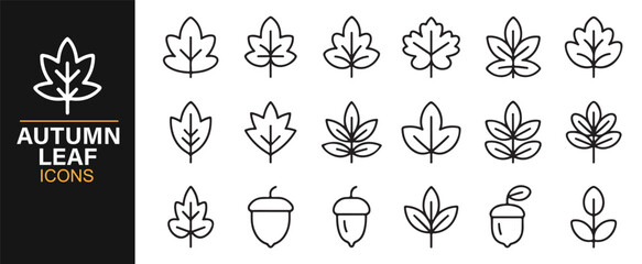 Minimal autumn leaf symbols for eco-friendly and outdoor design