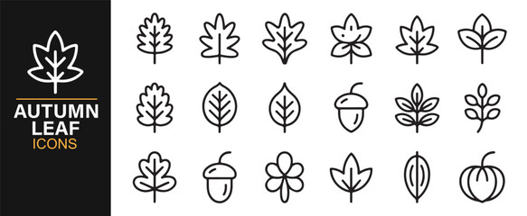 Outline autumn foliage symbols with leaves, acorns, and plant elements