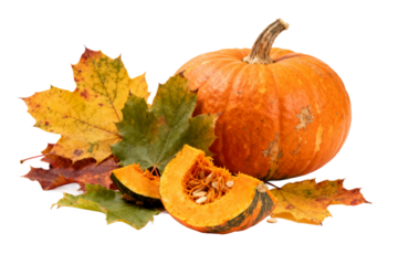 Orange Pumpkin with Fall Leaves Arrangement