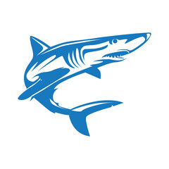 Clean illustration of a shark silhouette in blue and white colors, representing strength, speed, and ocean life. Minimalist marine design suitable for logos, icons, sports teams, water brands