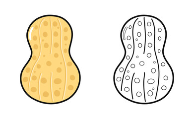 Peanut cartoon illustration for coloring book with outline