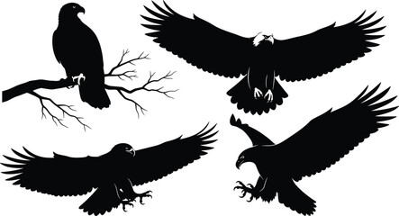 Black Silhouette Set of Four North American Eagles, Including Perching, Flying, and Hunting Poses with Talons Extended, for Nature and Wildlife Graphics.