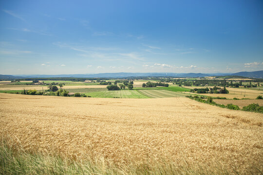 provence grignan countryside