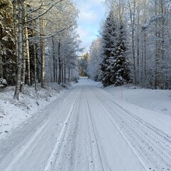 Obraz premium Snowy forest road in winter with frosty trees