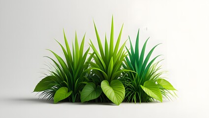 A small green bush of diverse plants featuring spiky leaves and broad foliage on a white background