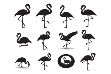 Obraz premium Vector different poses flamingo birds icons set
