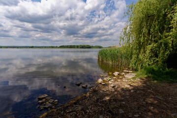 Landschaft auf der Kányavári-Insel im Kis-Balaton, Nationalpark Balaton-Oberland, Balaton, Ungarn