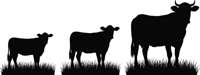 Black and white silhouette vector of three Holstein dairy cows with visible udders, shown grazing in a patch of grass, used for milk, farm, cattle ranching, and agricultural food product graphics
