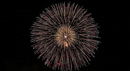 Dense Peony Firework Explosion