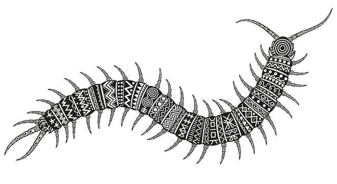 Monochrome centipede illustration with ethnic patterns for tattoo design or print