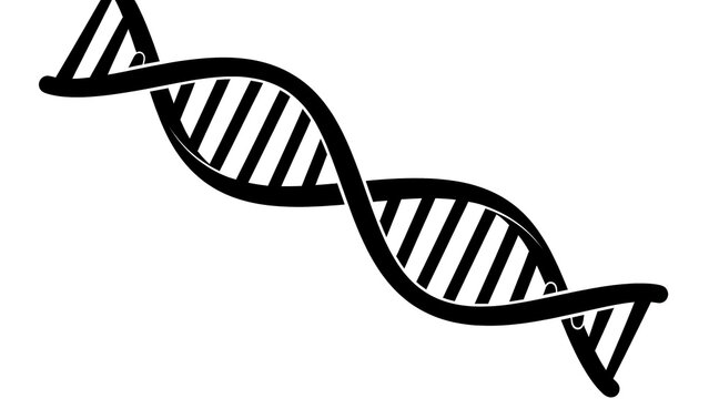 DNA double helix structure silhouette vector icon
