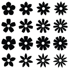 black and white flowers