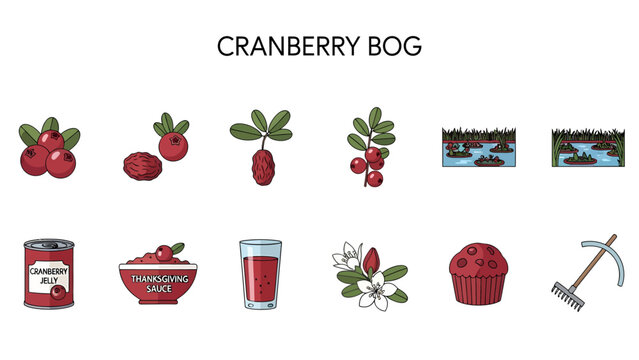 A collection of illustrations related to cranberries and cranberry bogs