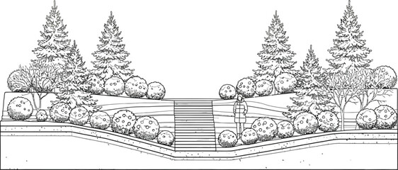 Obraz premium Professional landscape cross section design with evergreen trees