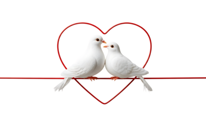 Two White Doves in Heart Shape on Red Line