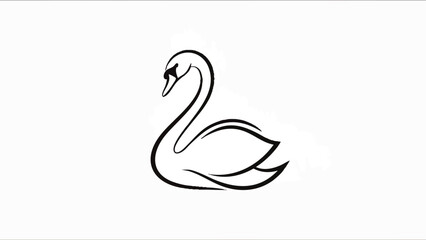 Swan Bird Animal Line Drawing.