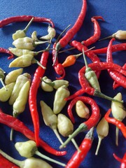 Kitchen spices: Spicy cooking ingredients: a collection of cayenne peppers and red peppers for kitchen spices