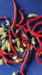 Kitchen spices: Spicy cooking ingredients: a collection of cayenne peppers and red peppers for kitchen spices