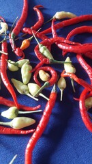 Kitchen spices: Spicy cooking ingredients: a collection of cayenne peppers and red peppers for kitchen spices