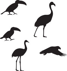 Obraz premium Collection of Exotic Bird Silhouettes Toucan Flamingo Crane Flying Bird Vector Set