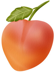 Apple clip art 
