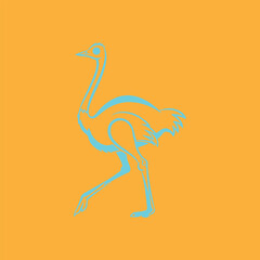 A Beautiful Ostrich Bird