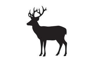 New deer in silhouette white background.