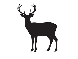 Obraz premium New fairy light in silhouette white background.