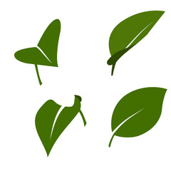 A minimalist vector set of stylized leaves in a modern, flat style