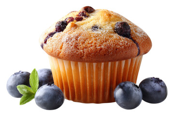 Fresh Muffin with Blueberry Pieces for Breakfast or Snack
